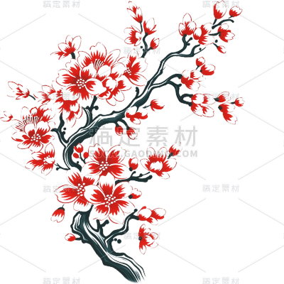 中国风梅花花朵