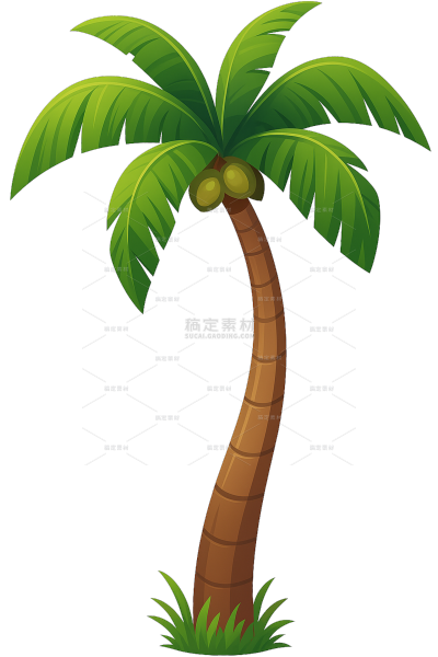 植物系列卡通风椰子树插画元素（td）