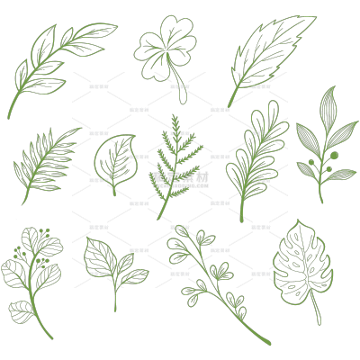 植物系列手绘风绿色树叶叶子线稿