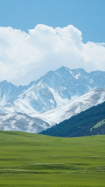 风光系列实景山脉树林草原背景