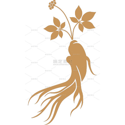 中国风系列插画人参人参花矢量图标元素