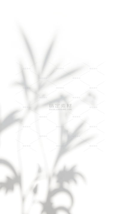 特效系列简约植物光影