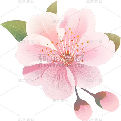 植物通用粉色插画桃花花朵元素素材