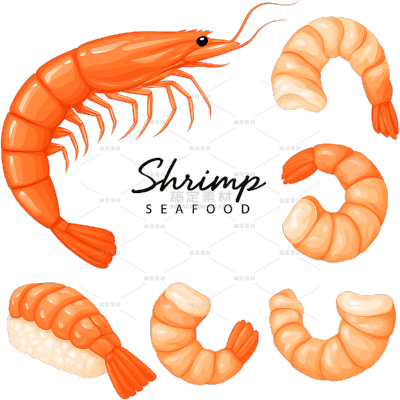 美食系列插画风海鲜食物虾元素组合（td）