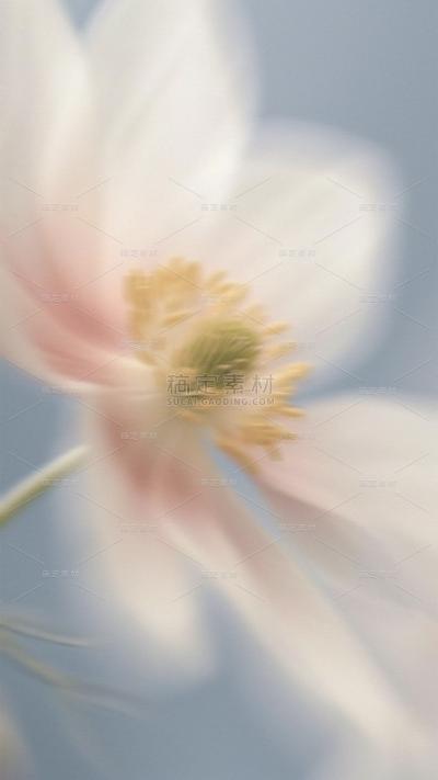 春天梦幻蒙版植物花卉背景元素素材