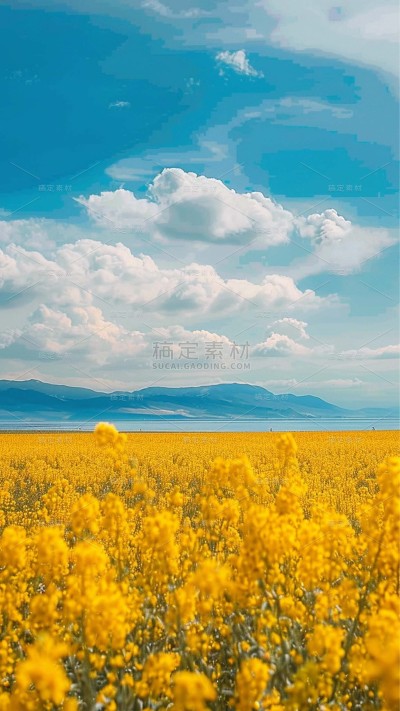 植物实景清新油菜花鲜花背景场景图片素材