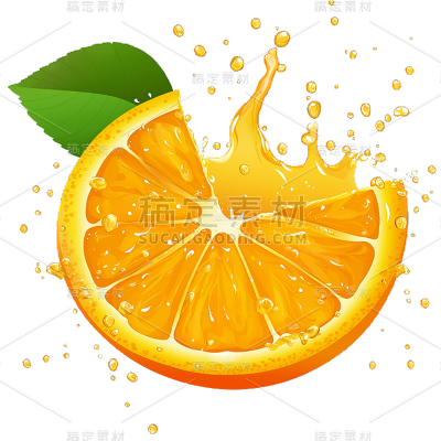 果蔬系列手绘插画橙子切片贴纸
