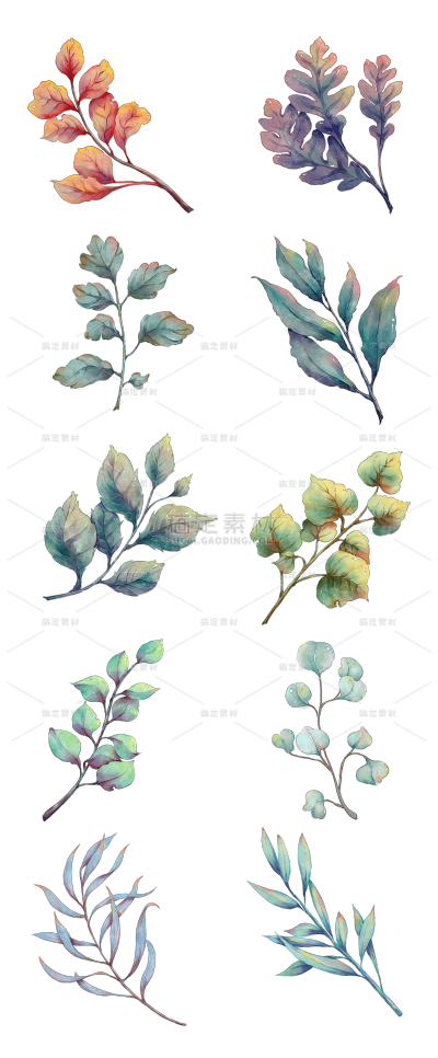 2309SC-素材组合-手绘-水彩树叶植物元素贴纸