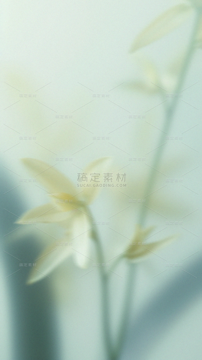 春天梦幻蒙版植物花卉背景元素素材