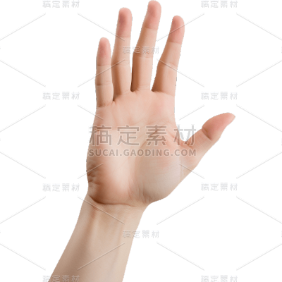 手部静态贴纸