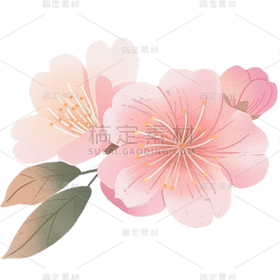 植物通用粉色插画桃花花朵元素素材