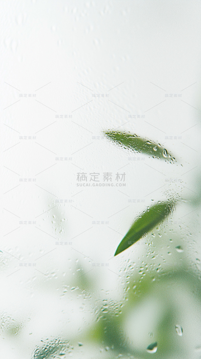 背景系列竹叶光影肌理模糊感背景