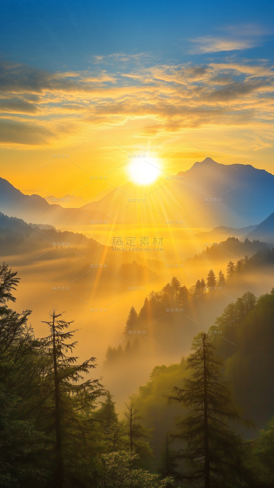 风光系列实景感远山云雾森林温暖日出背景