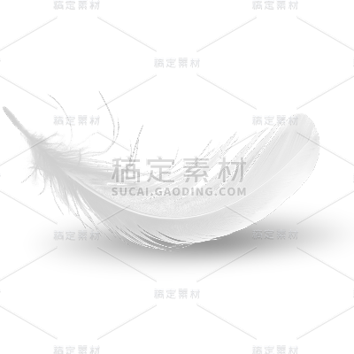 装饰通用拟物羽毛元素素材
