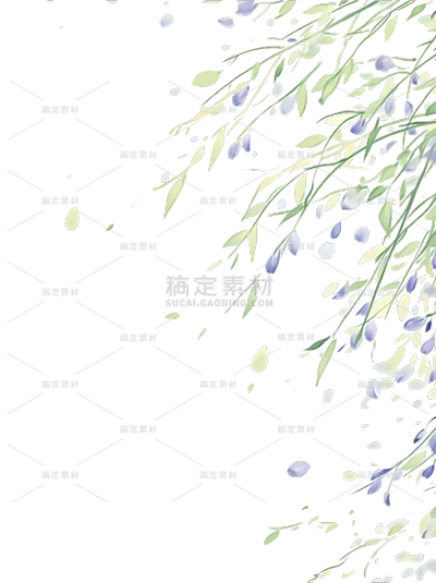 植物系列唯美感花枝花瓣元素