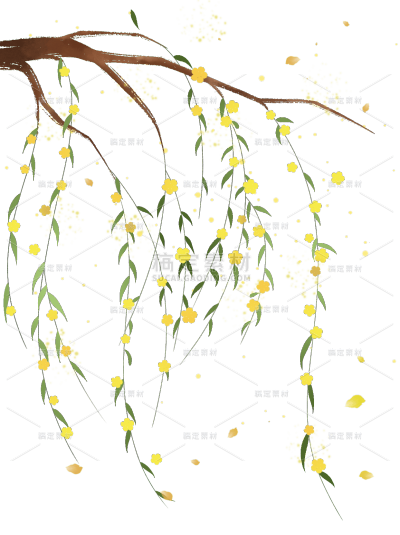 植物系列插画风柳条花下垂边框元素
