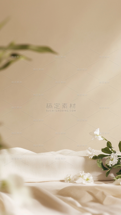 背景系列光影感植物展台