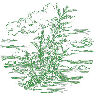 植物系列古风茶叶包装山水线描元素