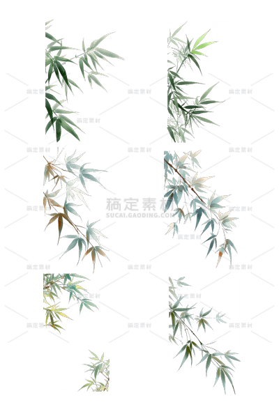 植物通用插画竹子元素素材
