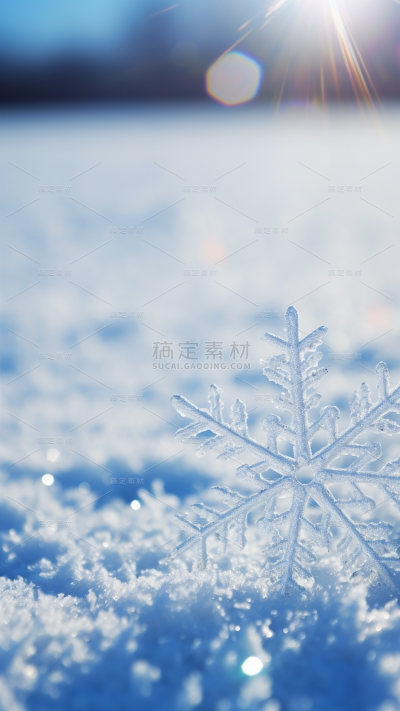 冬天冬季冬日雪景雪花特写