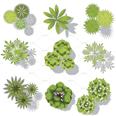 植物系列插画风树叶叶子印章组合元素（td）