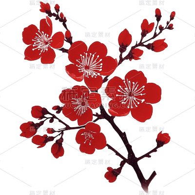 红色梅花
