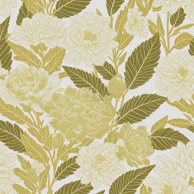 植物系列插画风花朵线条肌理插画（td）
