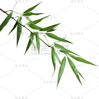 绿色树叶静态贴纸