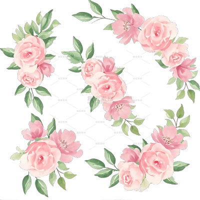 装饰系列插画风浪漫月季蔷薇花枝（td）