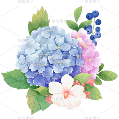 植物通用插画花朵组合元素素材