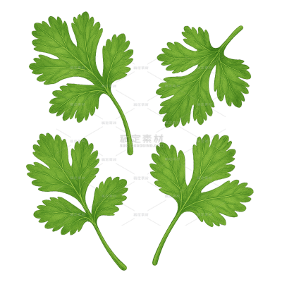 植物系列卡通绿色叶片组合元素（td）