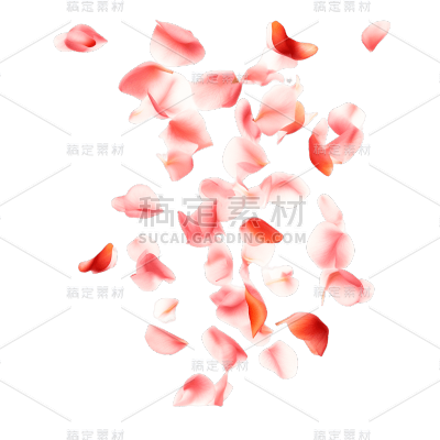 浪漫玫瑰花瓣