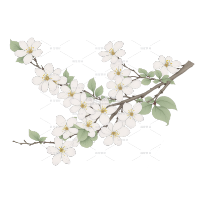 植物系列古风工笔画茉莉花插画