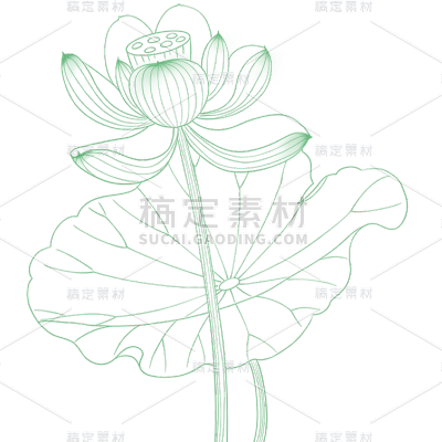 植物通用绿色线条荷花元素素材