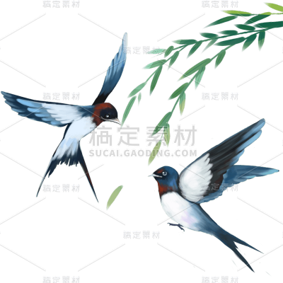 春分中式感杨柳燕子组合插画元素素材