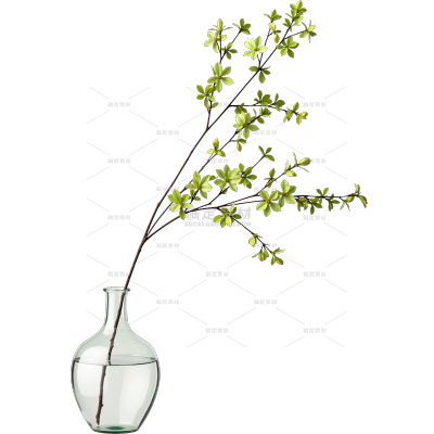 植物系列写实透明玻璃花盆植物盆栽