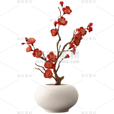 中国风禅意梅花盆栽