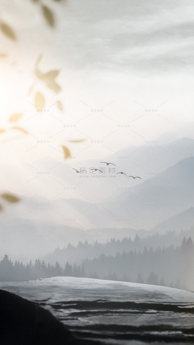 白露实景感远山飞鸟树影展台背景