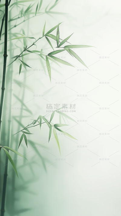 植物系列中国风朦胧竹子背景