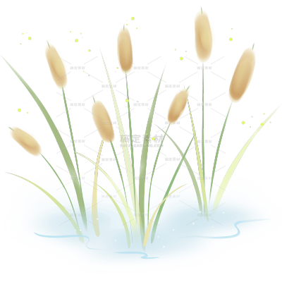 风光系列插画风水彩芦苇草丛贴纸