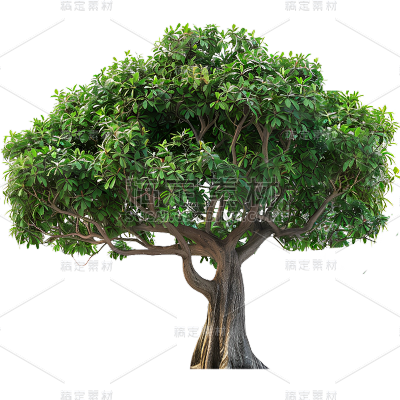 植物通用实景树元素素材