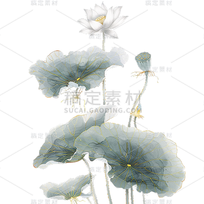 中国风通用金边工笔画荷花植物元素素材