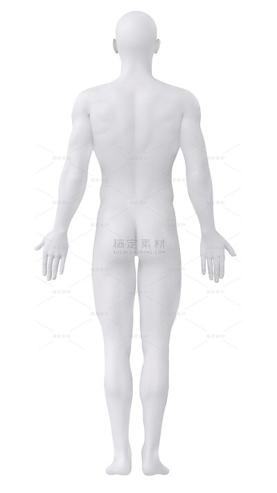 人物系列3D立体感人体建模（td）