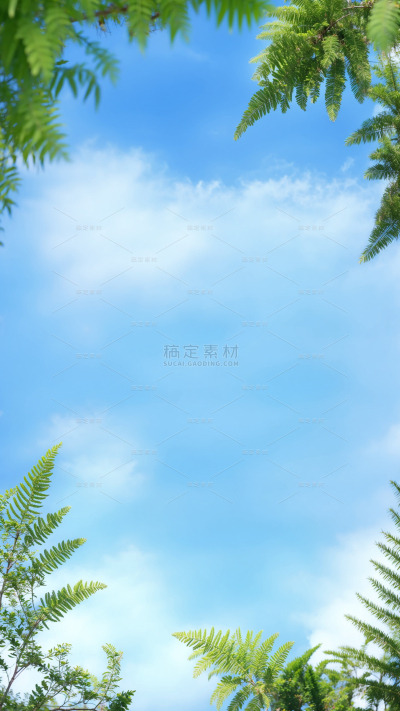 风光系列实景感晴朗蓝天背景绿植前景