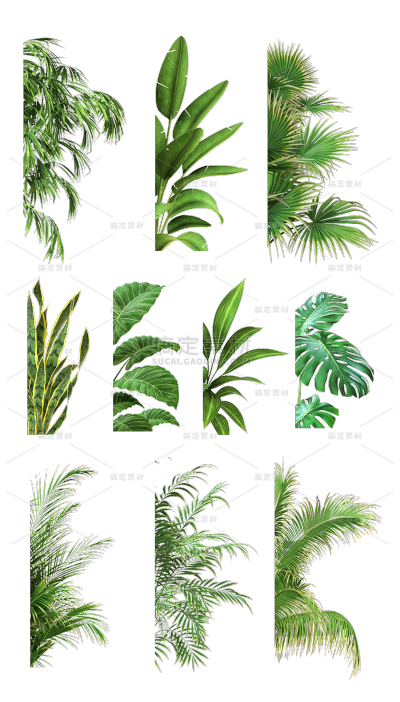 2309SC-素材组合-绿色叶子植物树叶
