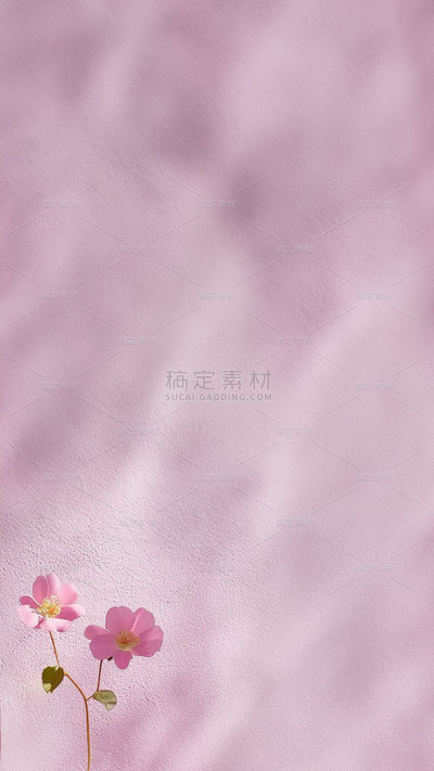 背景系列粉红色写实室内小红花
