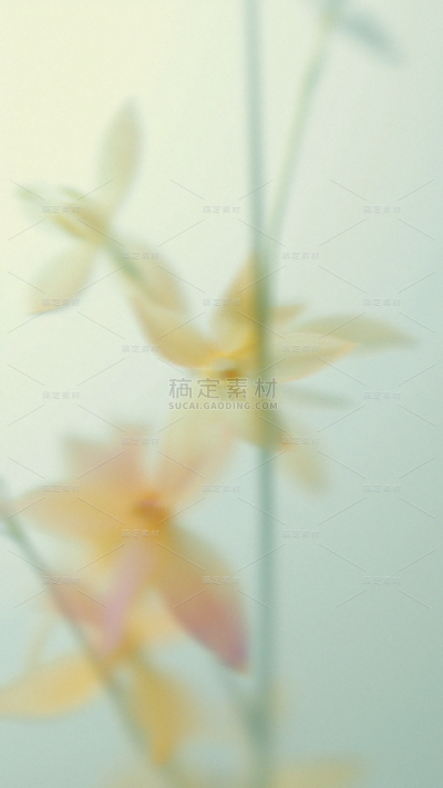 春天梦幻蒙版植物花卉背景元素素材