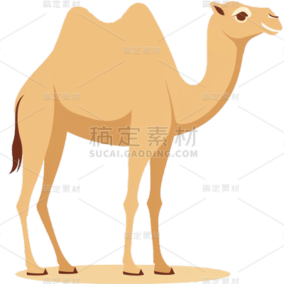 风光系列棕色系插画卡通骆驼通用元素素材