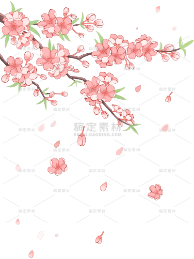 植物系列插画风飘落的樱花和丝带元素