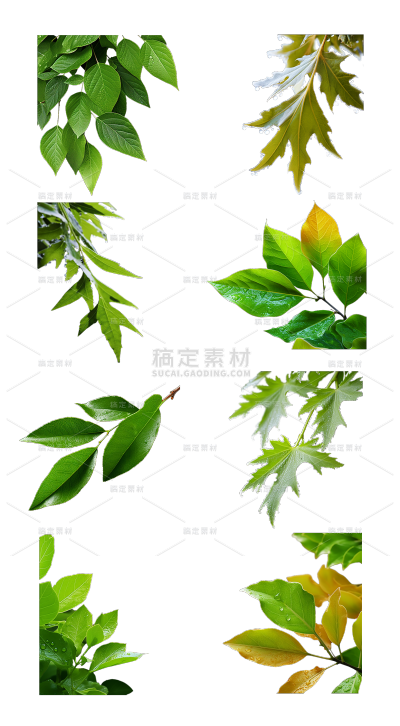 2309SC-素材组合-树叶贴纸-树上叶子